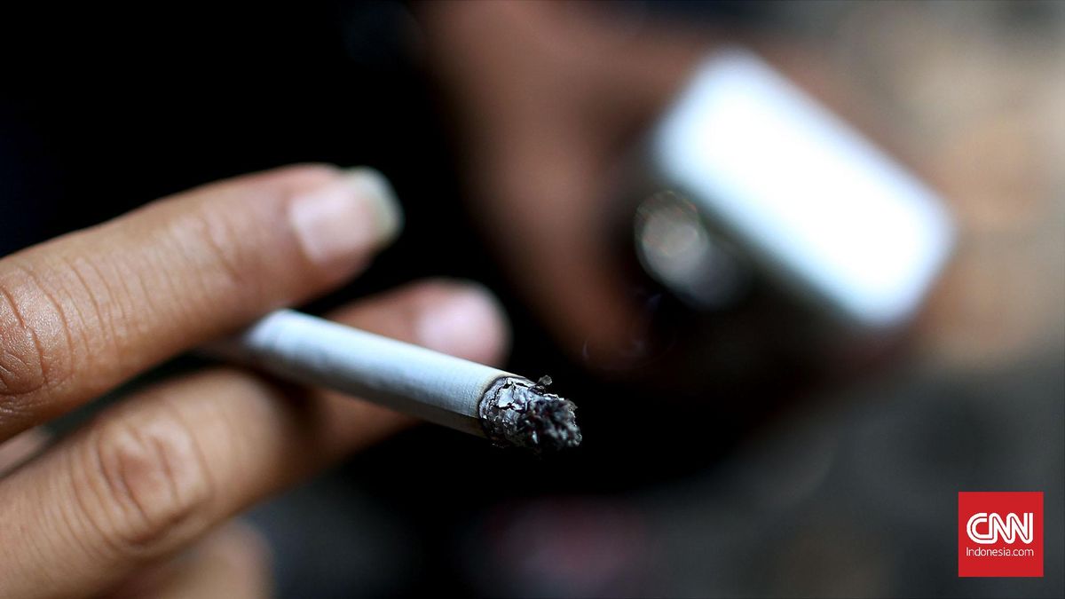 Viral Merokok di Sedan Mewah BMW Pelat TNI, Kemhan Klarifikasi