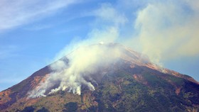 Kawasan Hutan di Gunung Sindoro Terbakar