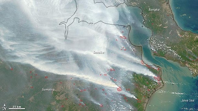 Sebuah tagar baru muncul di antara netizen negara tetangga. Mereka protes asap kebakaran hutan dan lahan di Indonesia. Apa kata mereka?