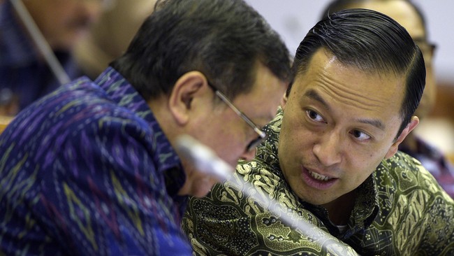 Sebanyak enam syarat impor beras dihapuskan Mendag Thomas Lembong, dan berlaku efektif 1 Januari 2016. Apa kabar swasembada beras?