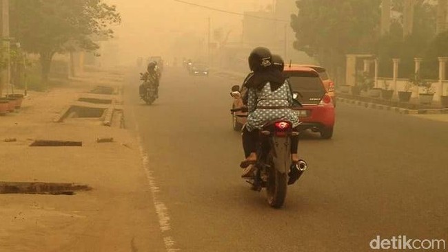 Menurut BNPB, penetapan tersebut akan membuat pemerintah daerah melimpahkan tanggungjawab ke pemerintah pusat.