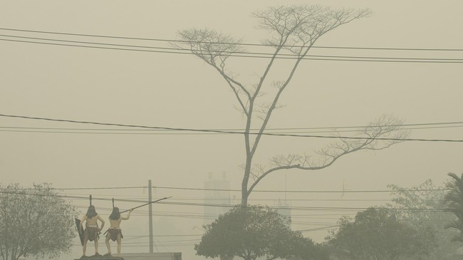 Enam penerbangan dari Bandara Internasional Syamsudin Noor ditunda karena jarak pandang hanya 100 meter akibat kabut asap kebakaran hutan.