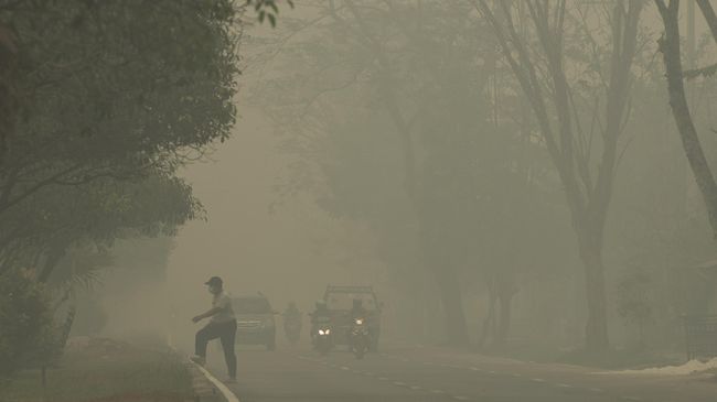 Asap kebakaran hutan tak hanya membahayakan pernafasan tapi juga kesehatan penglihatan. Apa yang perlu dilakukan untuk mengatasinya?