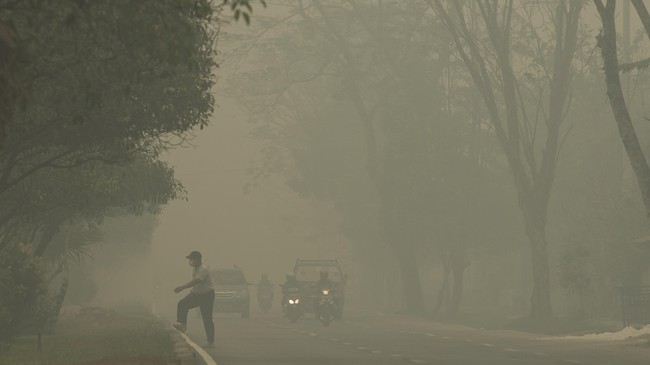 Titik panas di provinsi itu kini sudah bertambah menjadi 1.096 titik, hanya dalam sehari. Sebelumnya, pada Jumat (16/10) kemarin, titik panasnya 178 titik.