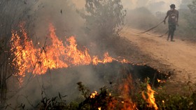 Usir Kepala BRG, Riau Andalan Pulp Disebut Langgar Hukum