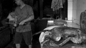 Media Asing Soroti Penangkapan Penjual Sate Daging Anjing di Bali