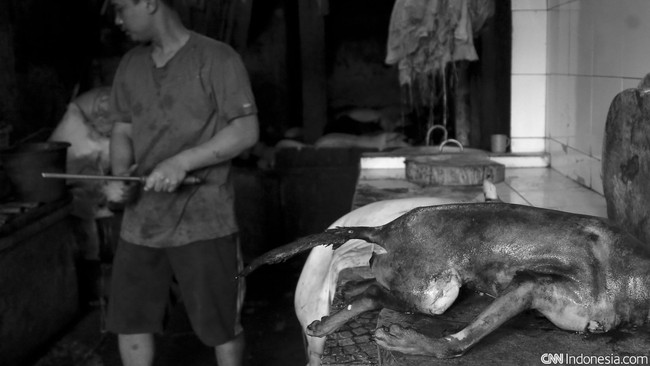 Satpol PP Bali telah menyita ratusan tusuk daging anjing dan puluhan kilogram daging anjing mentah dalam inspeksi nan dilakukan pekan ini.