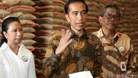 Siasati El Nino, Pemerintah Buka Impor Beras 1,5 Juta Ton