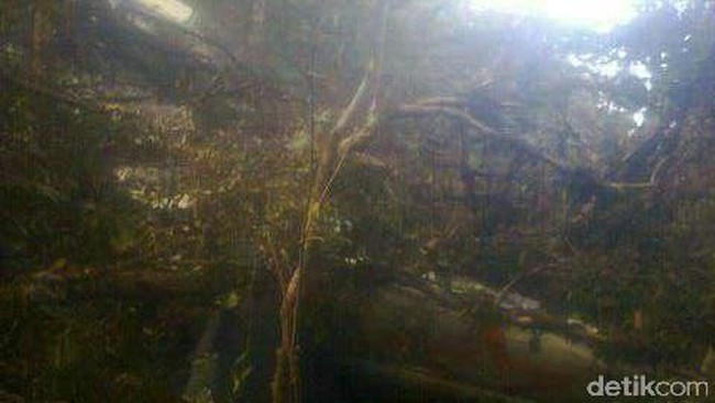 Foto puing pesawat bernomor penerbangan MV 7503 itu sebelumnya telah dilihat oleh Kepala Basarnas Bambang Soelistyo. 