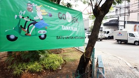 Pengemudi Mangkal Sembarangan, Gojek Dikartu Kuning Ahok