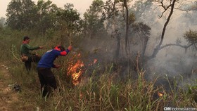 Pemerintah Gugat Tiga Perusahaan Pembakar Hutan di Sumsel