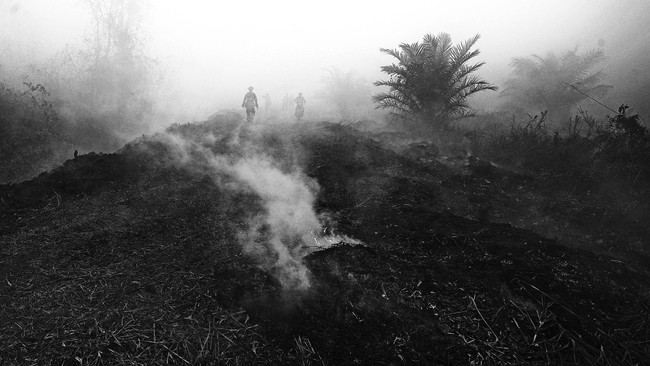 Pemerintah mengalihkan fokus dari sekadar upaya pemadaman ke operasi kemanusiaan besar-besaran. Esok, Luhut dan tiga menteri bertolak ke Kalimantan.
