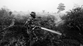 Kebakaran Hutan, Bantuan Internasional Difokuskan ke Sumsel