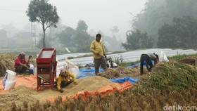 Pemerintah Dikritik atas Implementasi UU Desa