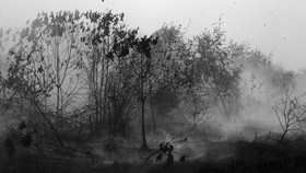 Kebakaran Hutan Mematikan di Tennesee karena Ulah Manusia