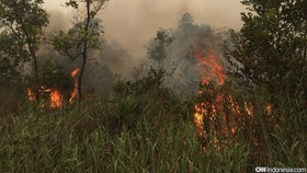 TNI: Operasi Kabut Asap Pesawat Asing di Bawah Komando BNPB