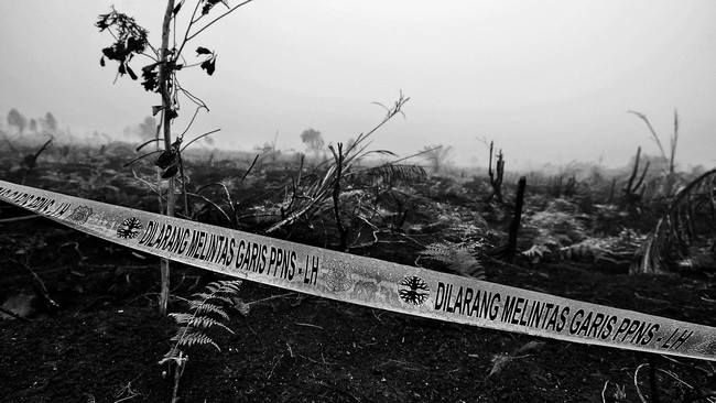 PT Sinar Mas meminta tak ada diskriminasi dan tebang pilih kasus. Satu anak usaha Sinar Mas, Bumi Hijau Mekar, digugat perdata dalam perkara kebakaran hutan.