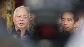 Presiden Jokowi Kukuhkan Pembentukan Dewan Sawit RI-Malaysia