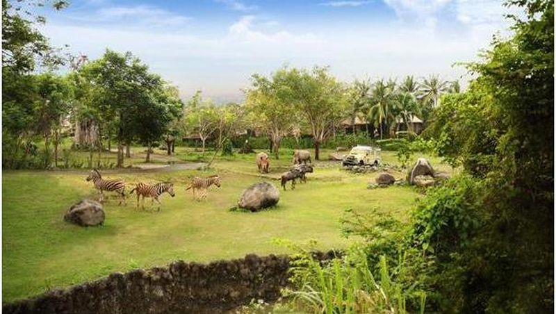 Bali bukan hanya menawarkan pesona keindahan alamnya