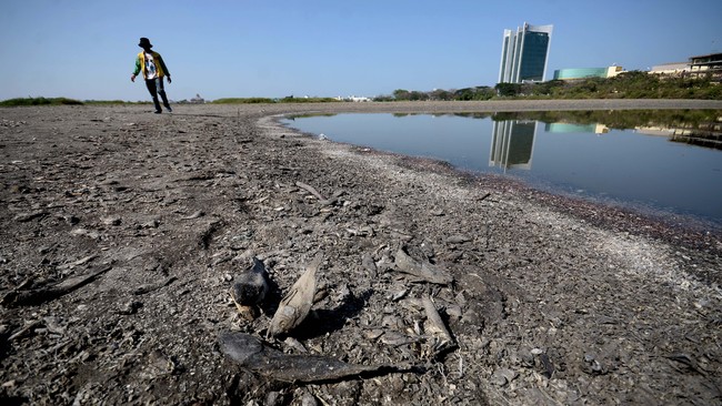 Warga melintas di sekitar danau yang semakin mengering akibat kemarau, Makassar, Sulawesi Selatan, Rabu (14/10). Badan Metereologi Klimatologi dan Geofisika (BMKG) wilayah IV Makassar memprediksi musim kemarau 2015 diperkirakan akan berlangsung lebih lama dari tahun lalu yaitu hingga bulan November 2015 dengan potensi suhu udara mencapai 34-36 derajat celcius.  ANTARA FOTO/Dewi Fajriani/nz/15