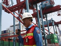 Pelindo Merger, RI Punya Operator Terminal Peti Kemas Kelas Dunia