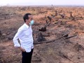 Surya Paloh: Tingkat Kepolosan Jokowi Tinggi