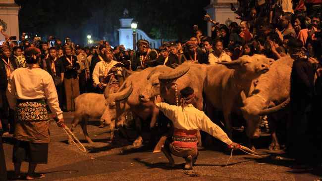 Malam 1 Suro selalu dihubungkan dengan hal yang berbau mistis. Nyatanya, momen ini berasal dari hasrat mengganti kalender Sang Sultan Agung.