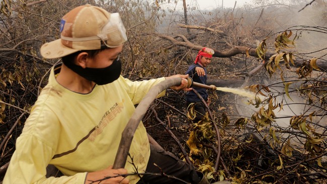 Presiden Jokowi juga melarang keras penerbitan izin pembukaan lahan lain. Ia minta seluruh kementerian bersiap melakukan evakuasi di wilayah terdampak asap.
