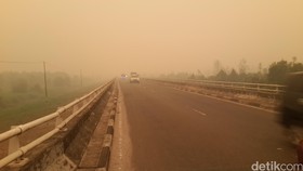 BNPB: Hampir Seluruh Kalimantan Terkepung Asap