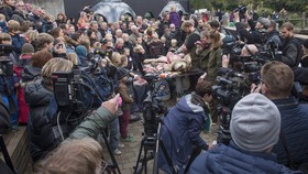 Kebun Binatang Denmark Kuliti Singa di Depan Anak-anak