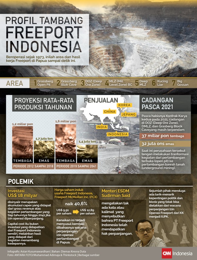 Sejak 1967 PT Freeport Indonesia mulai mengeruk 'kekayaan' alam Indonesia. Sebesar apa potensi kekayaan tambang di tanah Papua?