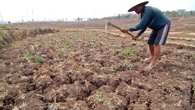 Jokowi Sindir BPN Soal Lamanya Pembuatan Sertifikat Tanah