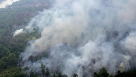 Pemerintah Tak Boleh Hentikan Operasi Asap Sampai Hujan Lebat