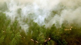 TNI Siagakan Pasukan Perangi Kebakaran Hutan di Papua