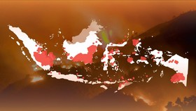 Lahan Gambut Kalimantan Paling Banyak Terbakar