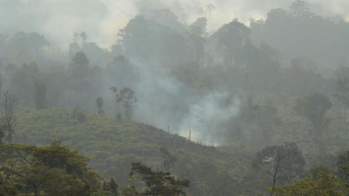 Polisi Tangkap Pria di Berau Kaltim Bakar Lahan untuk Kebun Sawit