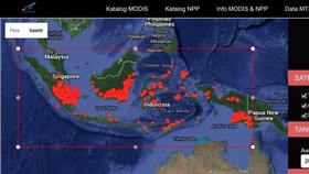 Kebakaran Hutan Meluas ke Maluku-Papua, Titik Api Tembus 3000