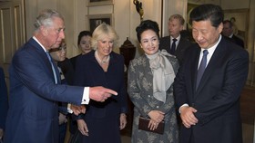 Mengintip Isi Pembicaraan Presiden China dan Pangeran Charles