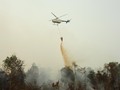 Satu Bulan Atasi Karhutla Sumsel Habiskan 4,6 Juta Liter Air
