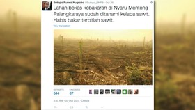 Kejengkelan Sutopo BNPB: Habis Bakar Terbitlah Sawit