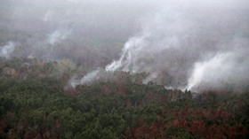 WALHI Siapkan Gugatan ke Perusahaan Pembakar Hutan