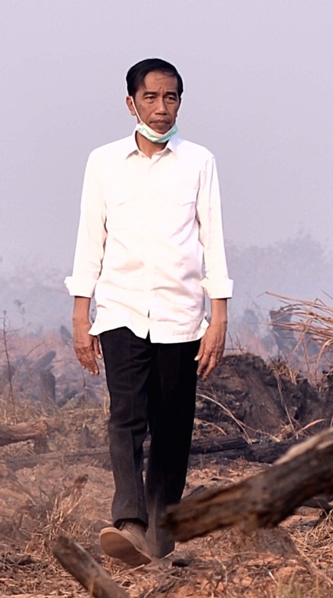 Presiden Jokowi sudah memerintahkan anak buah menyelesaikan masalah kebakaran hutan dalam dua pekan, tapi asap malah meluas. Sigap atau sebetulnya gagal?