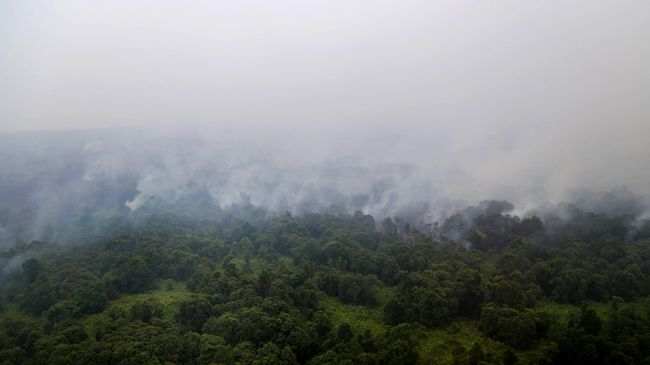 Status Bencana Nasional Dinilai Tak Perlu Izin Parlemen Dengan menetapkan bencana nasional, pemerintah dapat mengerahkan anggaran dengan kekuatan penuh mengatasi kabut asap.