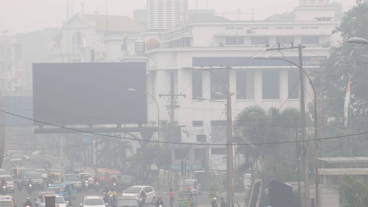 Ada 64 Hotspot Karhutla di Sumut, Paling Banyak di Karo
