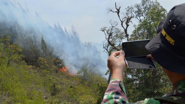 Badan Nasional Penanggulangan Bencana (BNPB) menyatakan 30 hektare lahan dan hutan di Gunung Lawu, terbakar sejak pekan lalu.