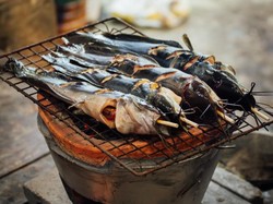 Kandungan Gizi Ikan Lele, Manfaat, dan Jenis yang Dibudidayakan di Indonesia
