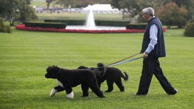 Pria Mengaku Yesus Kristus Berencana Culik Anjing Obama