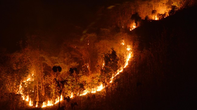 Anggaran tambahan penanggulangan kebakaran hutan itu bersumber dari pengalihan Rp650 miliar yang semula untuk pengadaan helikopter operasional KLHK.