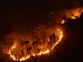 Kebakaran di Gunung Lawu Meluas, Pendakian Resmi Ditutup