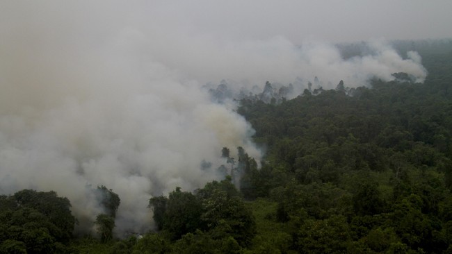 Menurut Viva Yoga, pembentukan pansus merupakan bagian dari dukungan politik pimpinan DPR dan Fraksi untuk menyelesaikan bencana kabut asap yang semakin parah.
